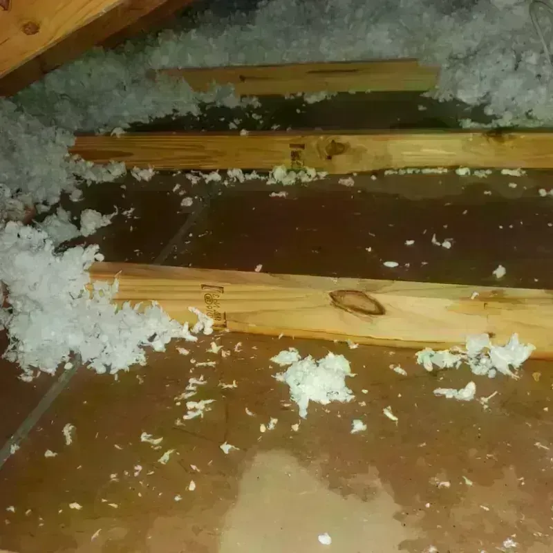 Attic Water Damage in Bells, TX