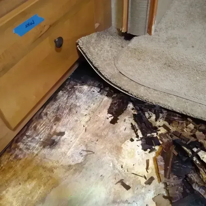 Wood Floor Water Damage in Bells, TX